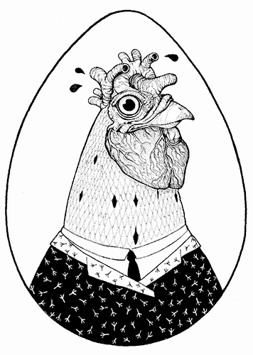 gallo-cuore
